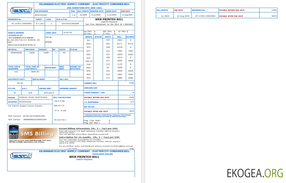 Modèle Word et PDF de facture de services publics des entreprises PAKISTAN IESC